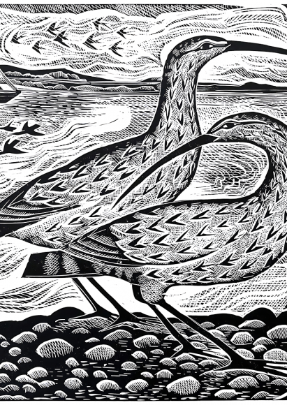 Suffolk Wildlife Trust – Festival of Nature 2026